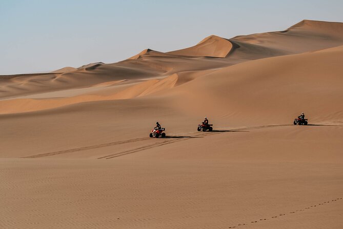 Quad Bike Tour (90min) - Practical details for a smoother visit