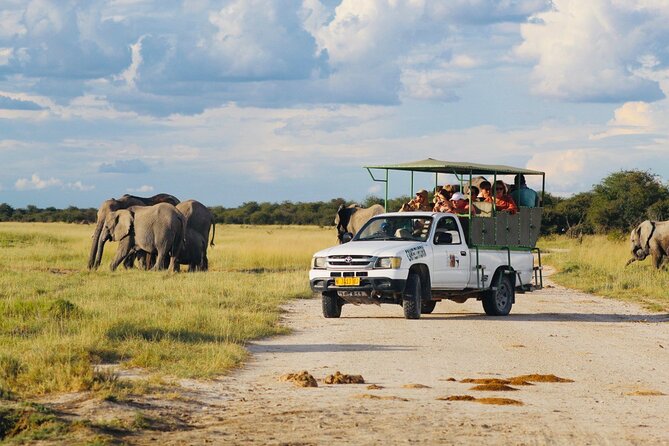 Safari in Etosha national park with professional tour guides born in Etosha. - What the full-day timing gives you