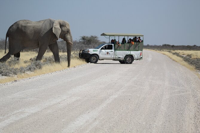 Safari in Etosha national park with professional tour guides born in Etosha. - Price, park fees, and what you actually receive