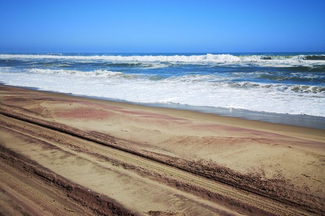 Sandwhich Harbour Dune 4x4 Full Day - Practical planning for the day