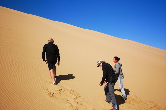 Sandwhich Harbour Dune 4x4 Half day - Is $150.32 a fair price?