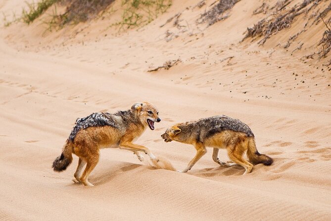 Sandwich Harbour 4x4 Guided Tour - Unforgettable Adventure - Walvis Bay Esplanade and the pink salt lakes