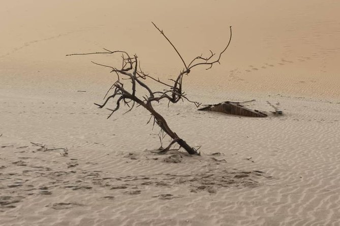 Sandwich Harbour 4x4 guided tours.Join us for an awe inspiring adventure. - The views from the high dunes