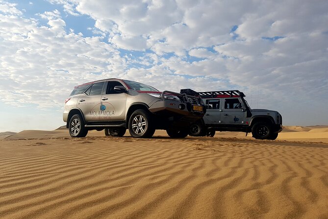 Sandwich Harbour 4x4 Half Day Experience with Beach Braai - Why Sandwich Harbour makes a strong half-day outing
