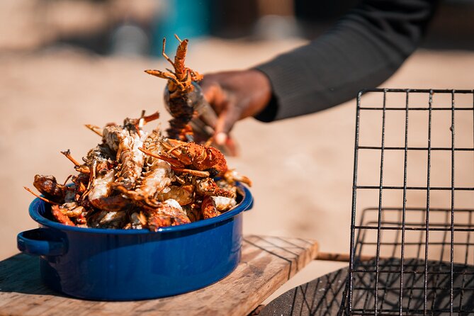 Sandwich Harbour 4x4 Half Day Experience with Beach Braai - What the $275.25 price really covers
