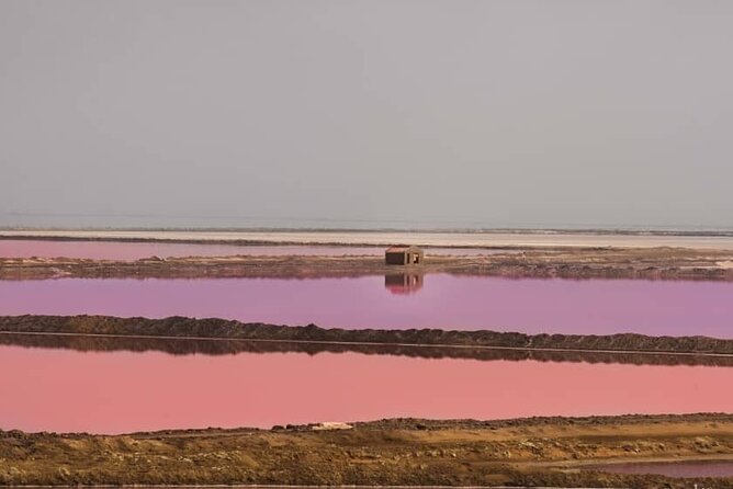 Sandwich Harbour 4x4 Private Guided Tour - Your very own private tour! - Key points to know before booking