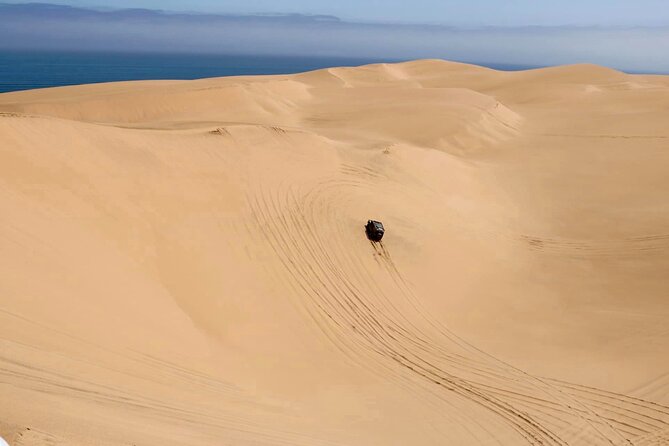Sandwich Harbour 4x4 Tour - Walvis Bay salt pans and flamingo lagoon