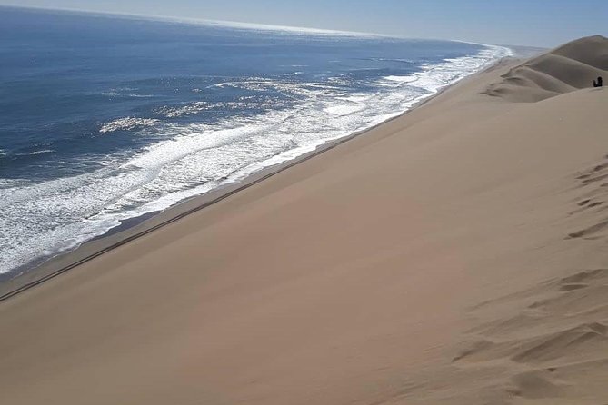 Sandwich Harbour Adventure: Seals and Sandwich harbour dune drive - Key points to know before you book