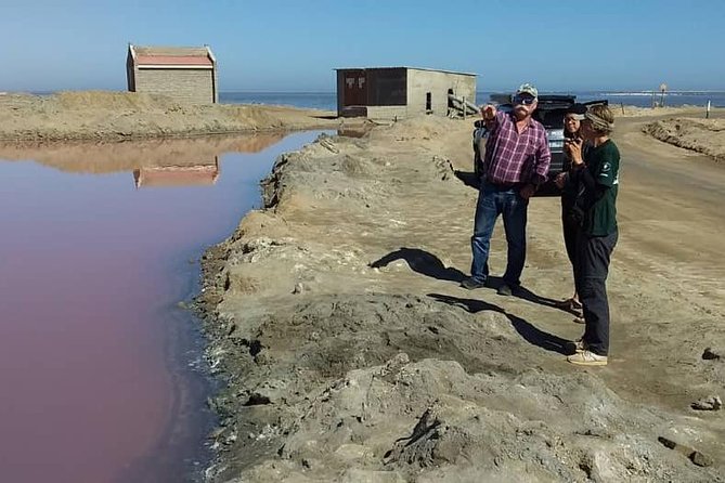Sandwich Harbour Adventure: Seals and Sandwich harbour dune drive - Why Sandwich Harbour makes such a memorable day