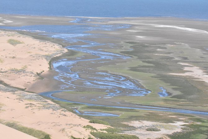 Sandwich Harbour Adventure: Seals and Sandwich harbour dune drive - What the guides add to the experience
