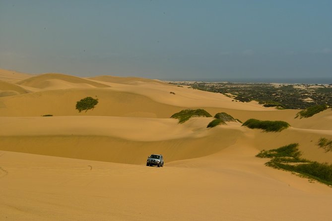 Sandwich Harbour Guided, Self-Drive Tour - What the $259.66 group price really buys