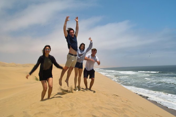 Sandwich Harbour Half-Day 4x4 Tour (5 hours) from Walvis Bay - Wildlife along the route