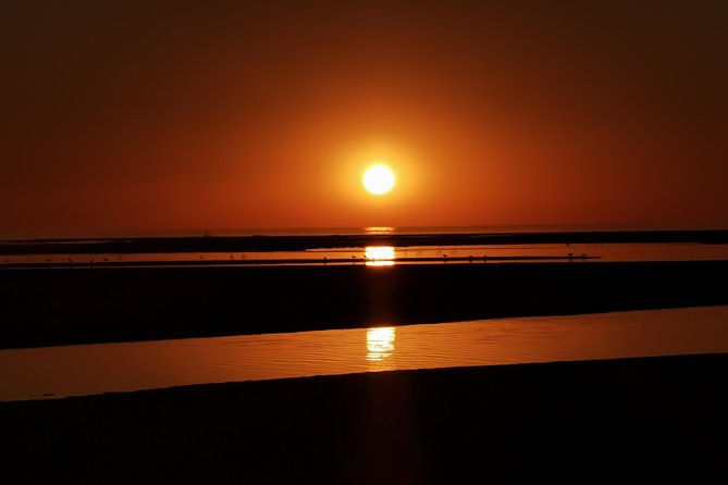 Sandwich Harbour Half Day Excursion - Starting in Walvis Bay