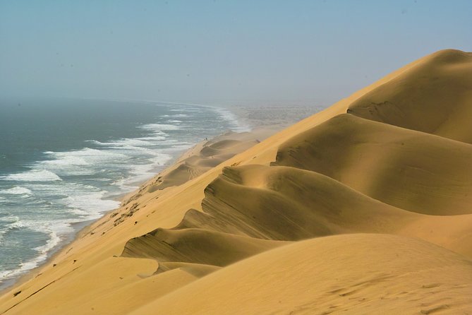 Sandwich Harbour & Pelican Point Full Day Tour - Why this Walvis Bay day tour works