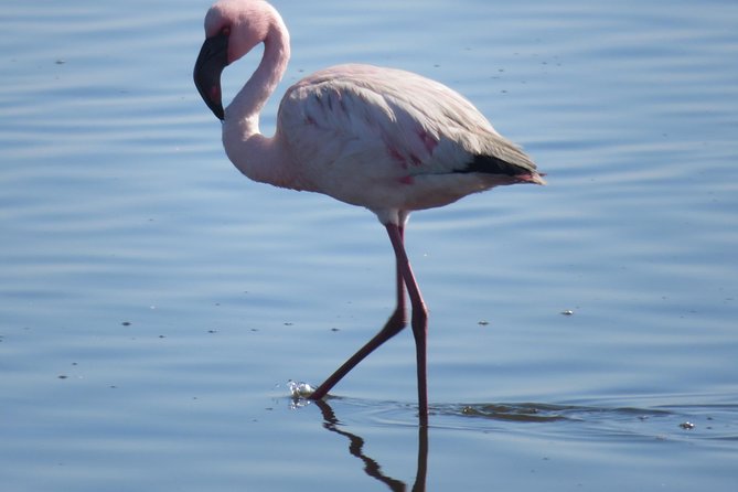 Sandwich Harbour Tour - Pelgrim Tours - Who will enjoy this tour most?