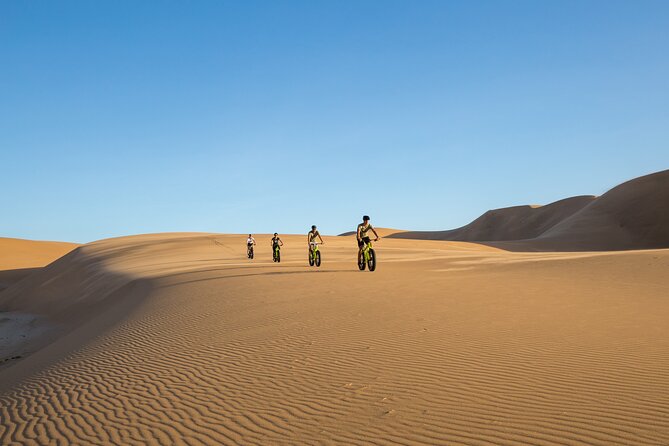 Scenic Desert Tour by Bike - What the $29.91 price really gives you