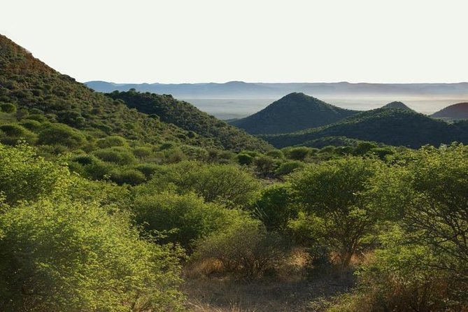 Scenic Game Drive Activity - From Windhoek to Düsternbrook in about one hour