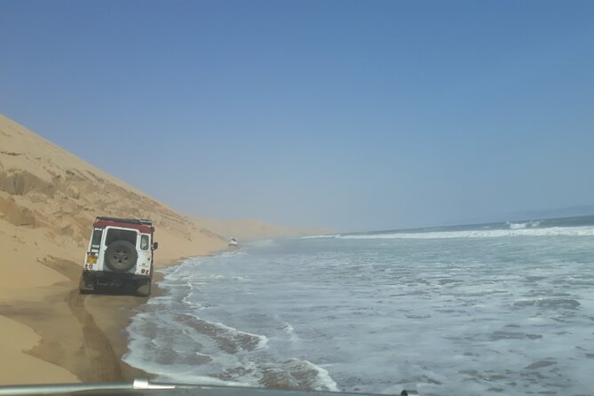 Scenic Sandwich Harbour Tour - Is $158.16 a fair price?