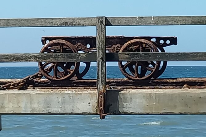 Seal Kayaking at Pelican Point from Swakopmund - Lunch, Drinks, and the Return to Walvis Bay