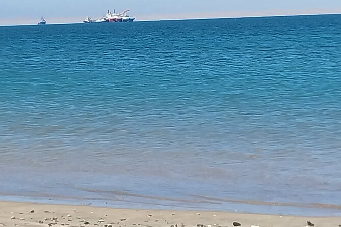 Seal Kayaking at Pelican Point from Swakopmund - Weather, Sandstorms, and the Backup Plan
