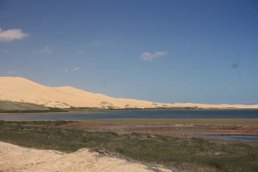 Self-Drive Guided Tour to Sandwich Harbour - Who will enjoy this tour most