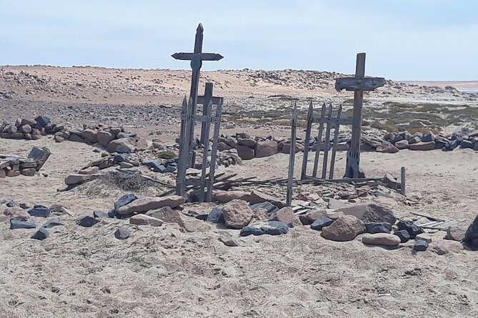 Skeleton Coast Cape Cross Seal colony Tour - Why this short trip works