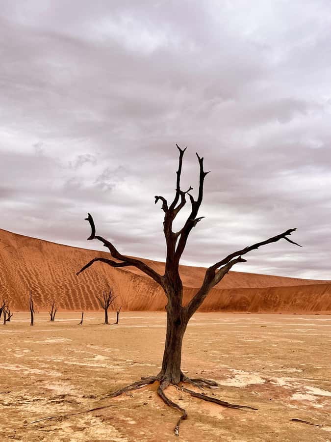 Sossusvlei: Day Trip - The essential details at a glance