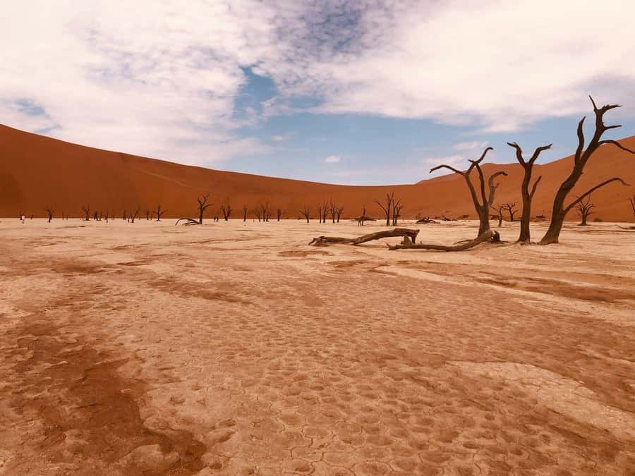 Sossusvlei: Day Trip - Dune 45: a sunrise stop with real height