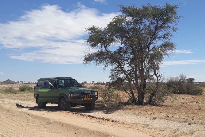 Spitzkoppe Day Tour from Swakopmund - Is $204.56 Good Value?