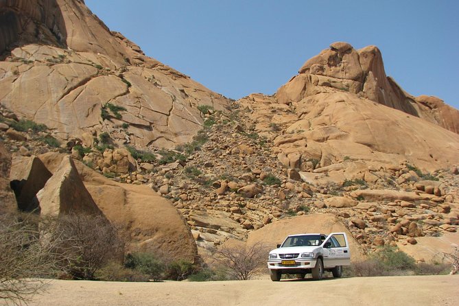 Spitzkoppe - Day Tour to the Spitzkoppe Mountain from Swakopmund - Small plants and birdlife in a dry place
