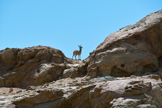 Swakop River Valley & Spitzkoppe Full Day 4x4 tour from Walvis Bay - Starting at Anchors Waterfront Restaurant