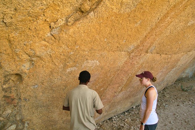 Swakop River Valley & Spitzkoppe Full Day 4x4 tour from Walvis Bay - Namib-Naukluft Park: desert scenery and possible wildlife