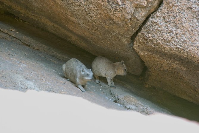 Swakop River Valley & Spitzkoppe Full Day 4x4 tour from Walvis Bay - Is $341.76 good value?