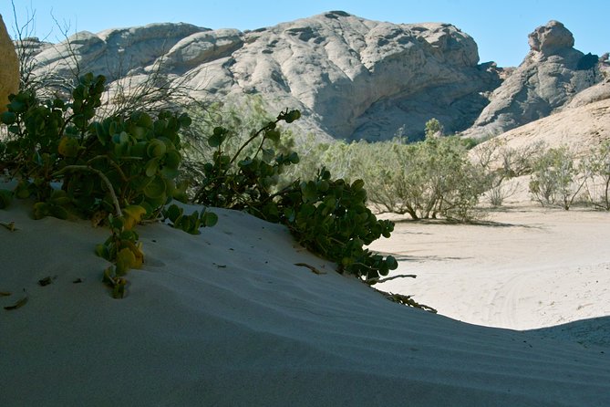 Swakop River Valley & Spitzkoppe Full Day 4x4 tour from Walvis Bay - Dorob National Park: big skies and open ground