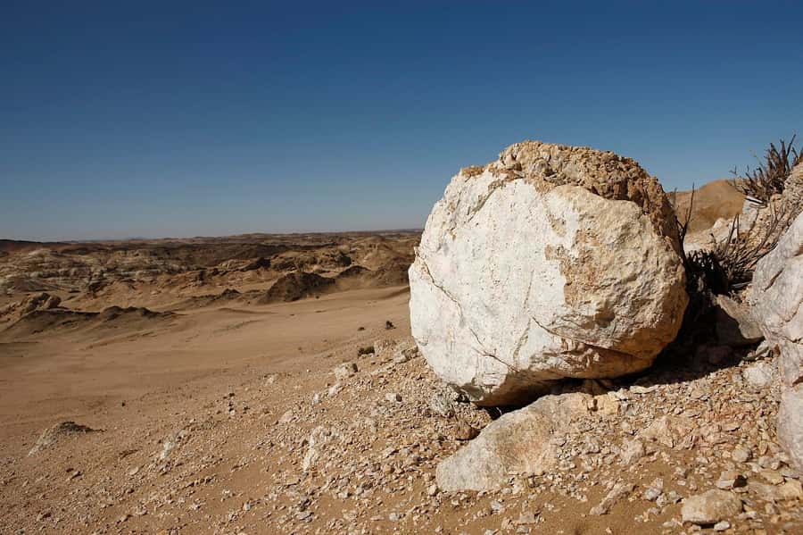 Swakopmund: Moon Valley and Namib Desert Welwitschia Tour - Reading the desert for signs of wildlife