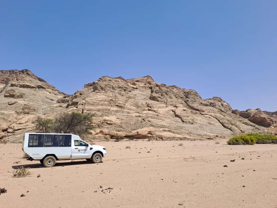 Swakopmund: Moon Valley and Namib Desert Welwitschia Tour - Is $57 per person good value?