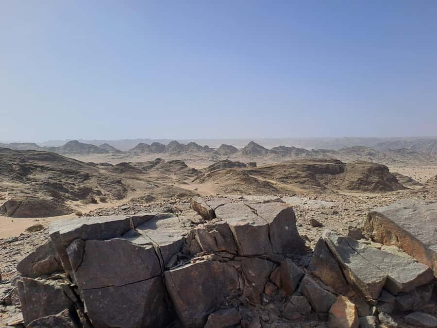 Swakopmund: Moon Valley and Namib Desert Welwitschia Tour - Who should book this Moon Valley outing?