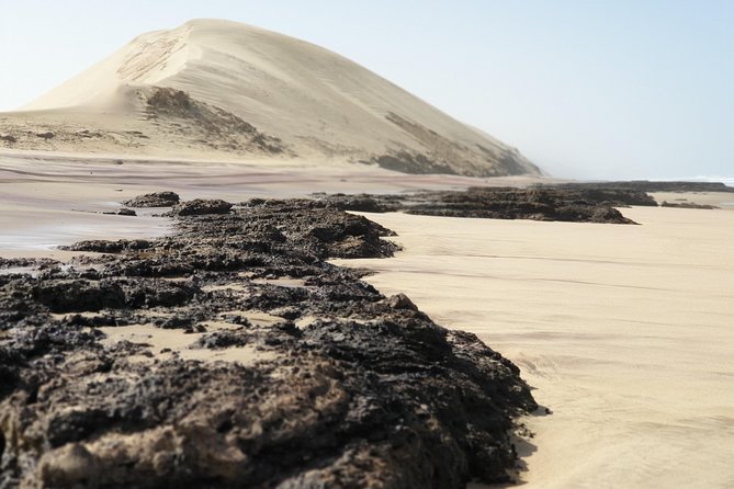 Tour to Sandwich harbour - Birdlife and salt works in Dorob National Park
