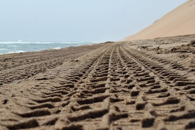 Unforgettable Half Day Adventure, Explore Sandwich Harbour - Where towering dunes meet the Atlantic