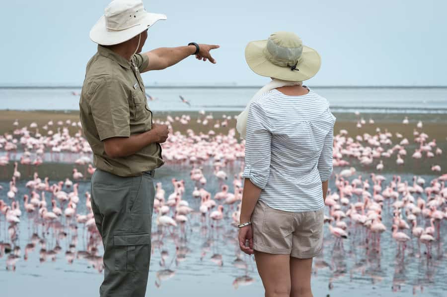 Walvis Bay: 4x4 Desert Excursion to Sandwich Harbour Bay - Driving where the dunes meet the Atlantic