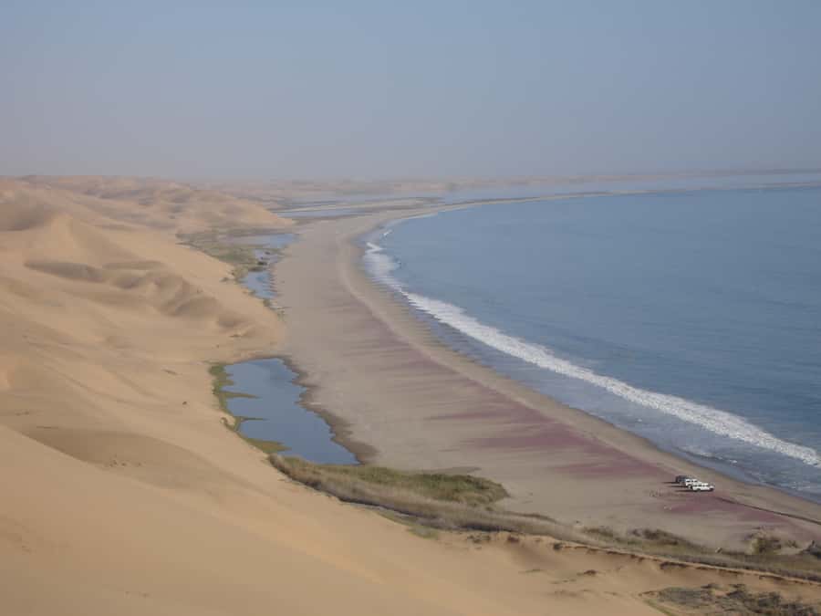 Walvis Bay: 4x4 Desert Excursion to Sandwich Harbour Bay - Who should book this Sandwich Harbour tour?