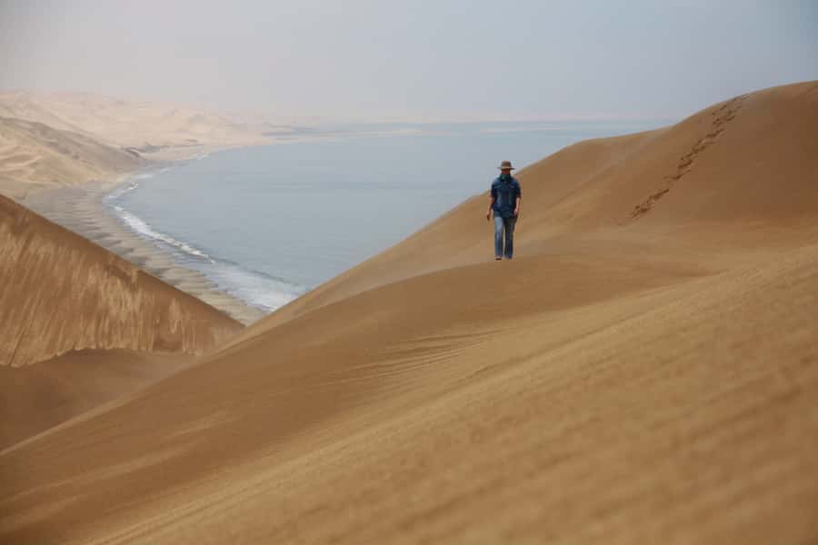 Walvis Bay: Dolphin Cruise, Pink Lakes and 4x4 Dune Drive - Key points to know before booking