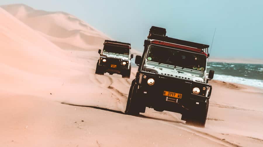 Walvis Bay: Dolphin Cruise, Pink Lakes and 4x4 Dune Drive - Fog, wildlife, and the realities of the coast
