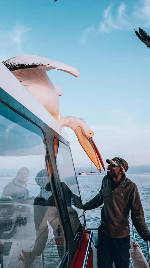 Walvis Bay: Dolphin Cruise, Pink Lakes and 4x4 Dune Drive - Lunch among the dunes
