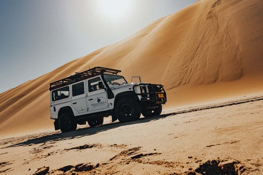 Walvis Bay: Dolphin Cruise, Pink Lakes and 4x4 Dune Drive - Oysters, brunch, and a proper break at sea