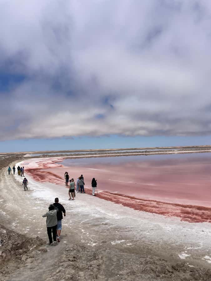 Walvis Bay: Half-Day Tour with Dune 7 and Pink Lake - Meeting at Walvis Bay’s waterfront
