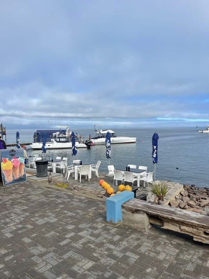 Walvis Bay: Half-Day Tour with Dune 7 and Pink Lake - What to bring and how to use your time