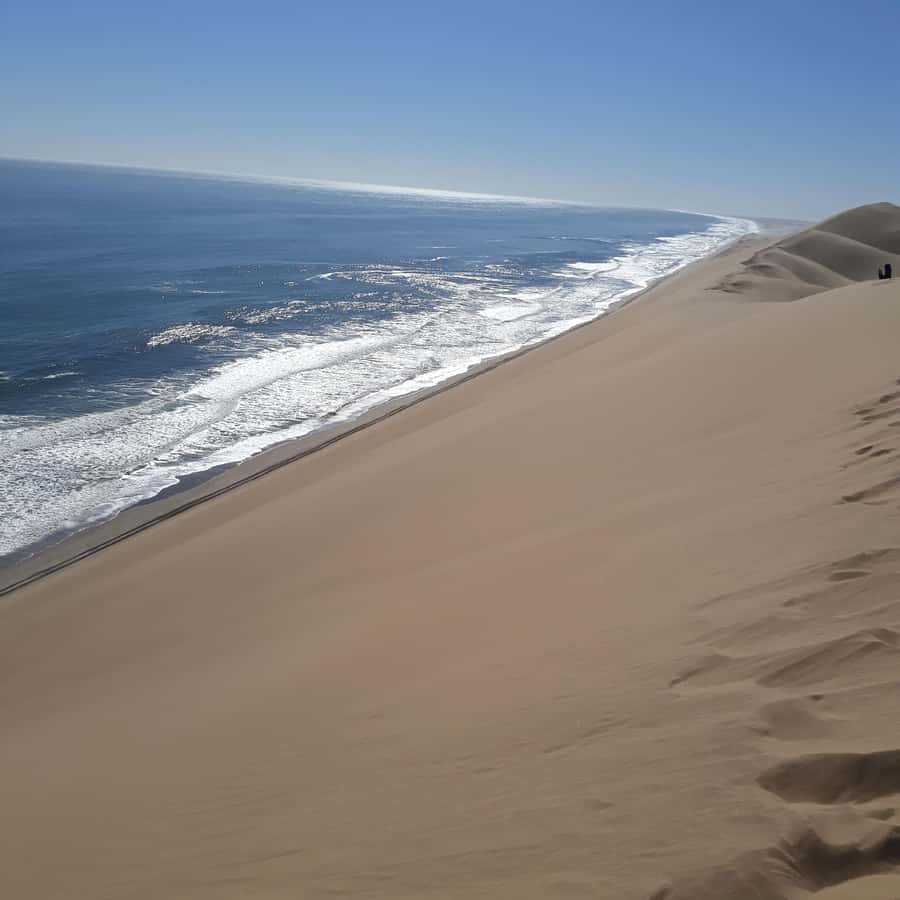 Walvis Bay: Kayaking and Sandwich Harbour Full-Day Tour - What to bring and who should book