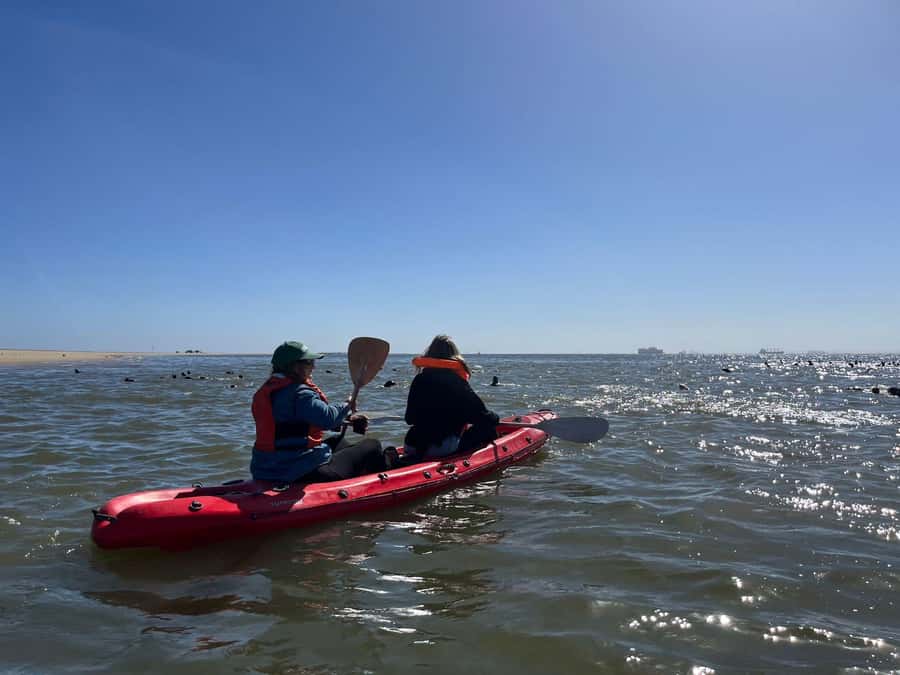 Walvis Bay: Kayaking and Sandwich Harbour Full-Day Tour - From Swakopmund to Walvis Bay at 8:00