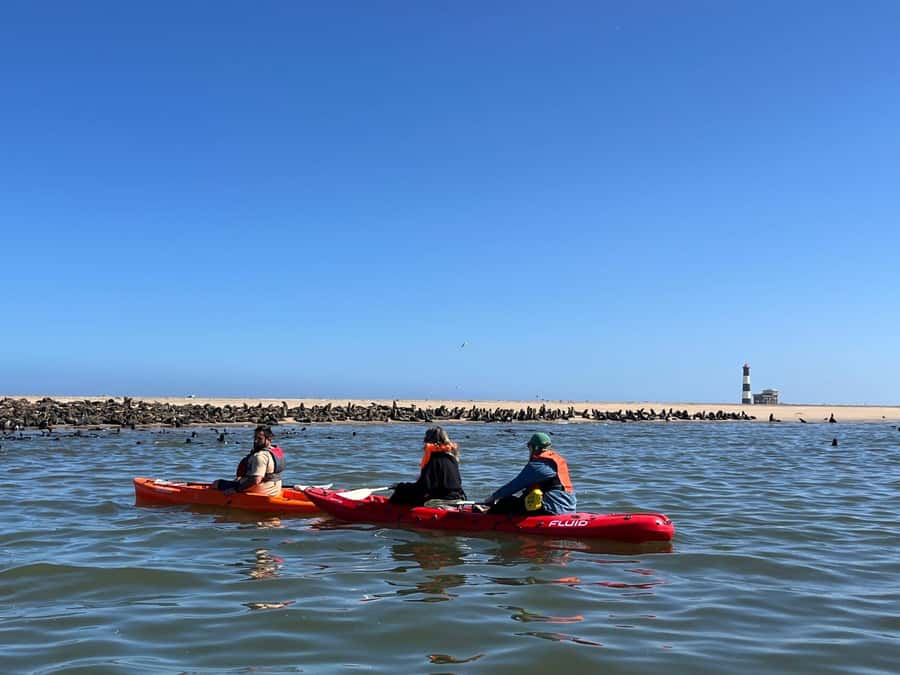 Walvis Bay: Kayaking and Sandwich Harbour Full-Day Tour - Flamingos, salt ponds, and Pelican Point